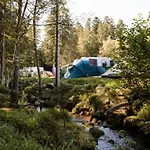 Mobil Avec Terrasse Au A - Api-1-52-299 营地 *