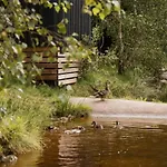 Mobil Avec Terrasse Au A - Api-1-52-299 营地 *