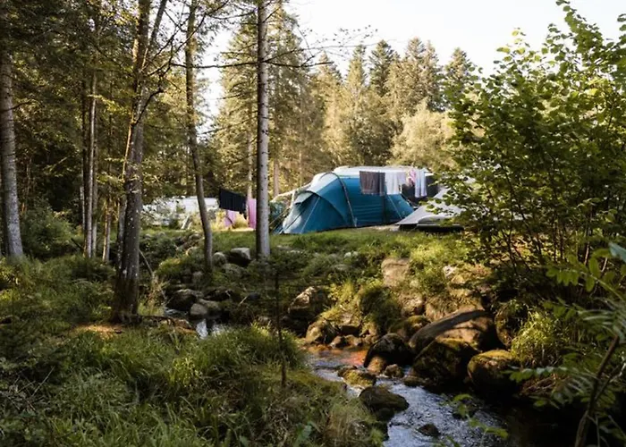 Mobil Avec Terrasse Au A - Api-1-52-299 Kamp alanı *