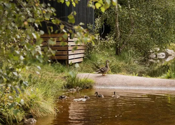 Mobil Avec Terrasse Au A - Api-1-52-299 Kamp alanı *