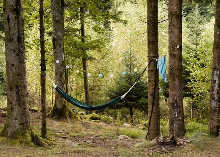 Mobil Avec Terrasse Au A Granges-aumontzey - Api-1-52-299 Kemp Granges-Aumontzey